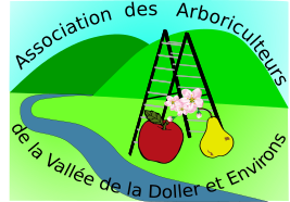 Contact arbo-doller